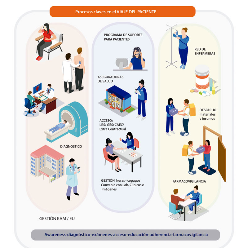 Infografia del viaje del paciente en Go Pharma